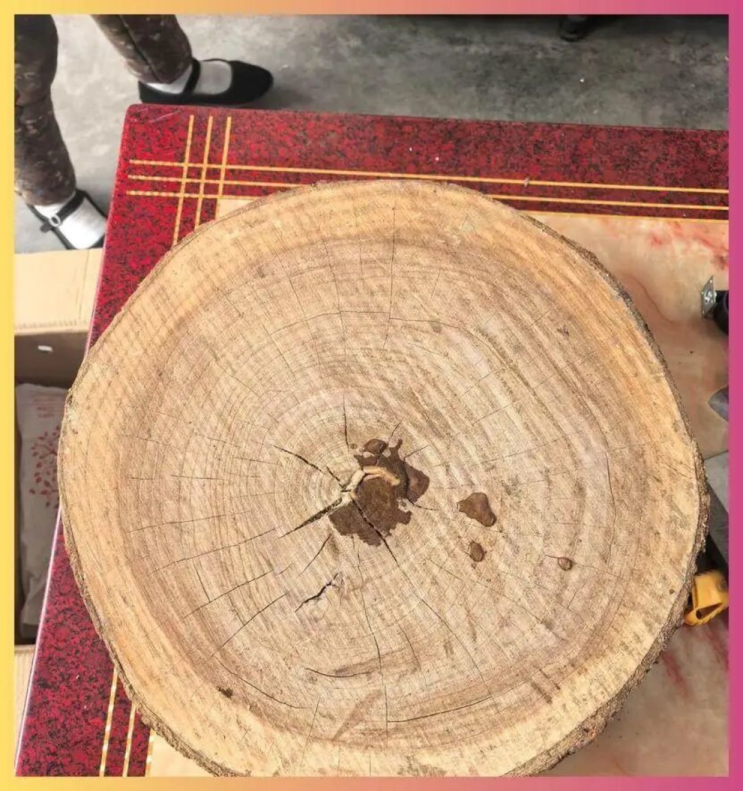 农村哪些树木做砧板最好？这六种木材就很受欢迎，老农民都懂！