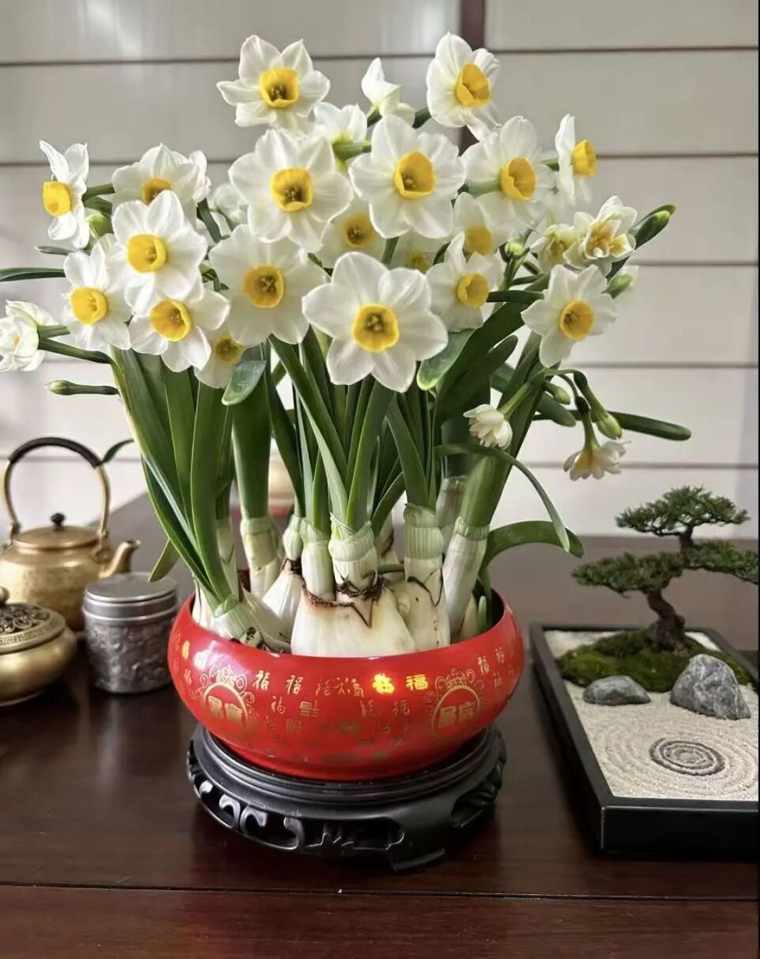 春节，买什么花过年最旺？