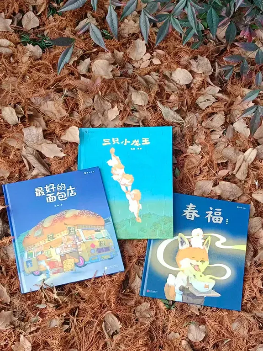 心窝里的光:三本照亮彼此的治愈绘本