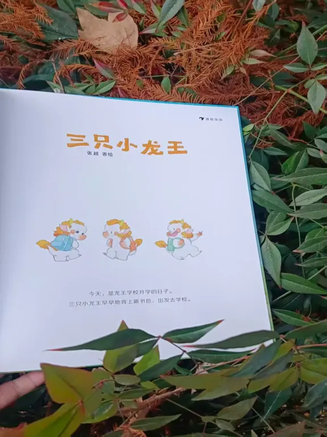 心窝里的光:三本照亮彼此的治愈绘本