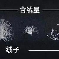 今天起，穿羽绒服请调整一下！