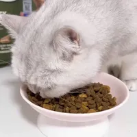 说点真话！爱肯拿双拼猫粮的真实感受