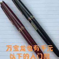 学生龙—学生都买得起的万宝龙 #钢笔