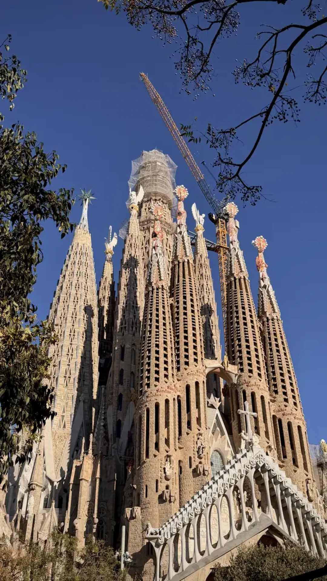 西班牙🇪🇸|巴塞罗那游记(全身而退版)