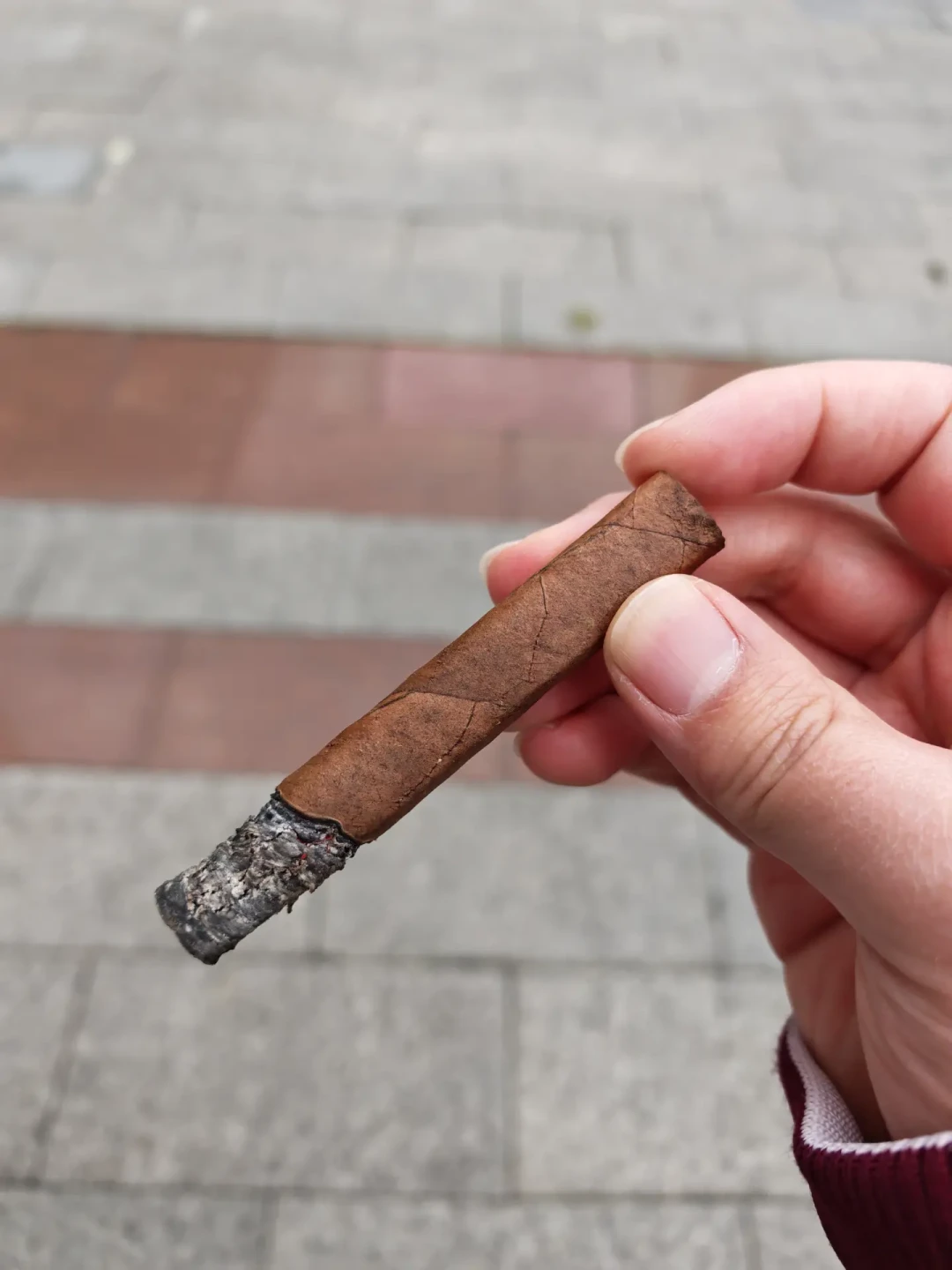 Villiger Export Brasil 威利绿箭 品吸