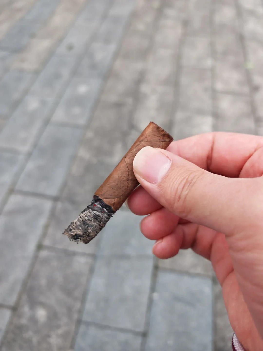Villiger Export Brasil 威利绿箭 品吸