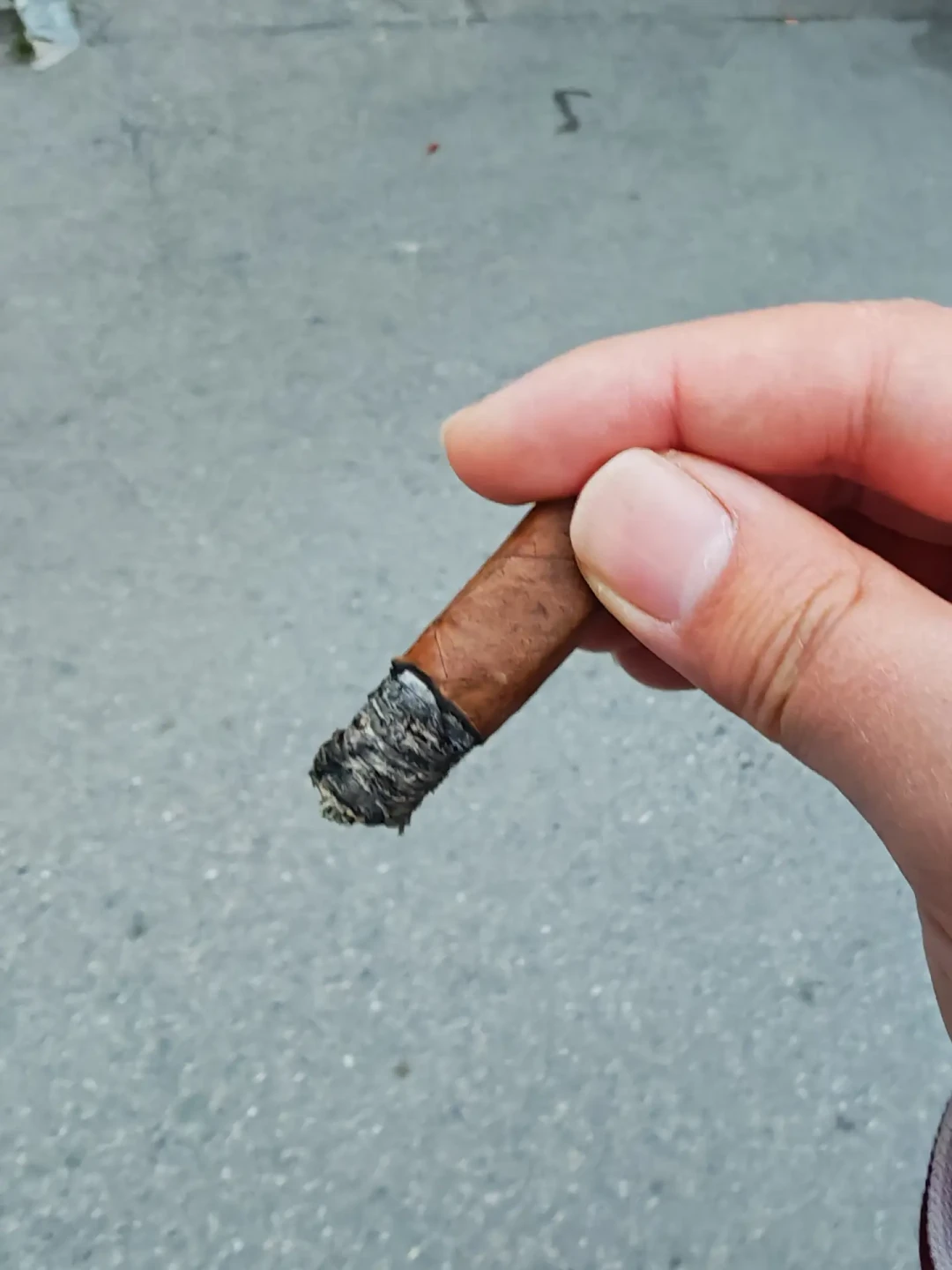 Villiger Export Brasil 威利绿箭 品吸