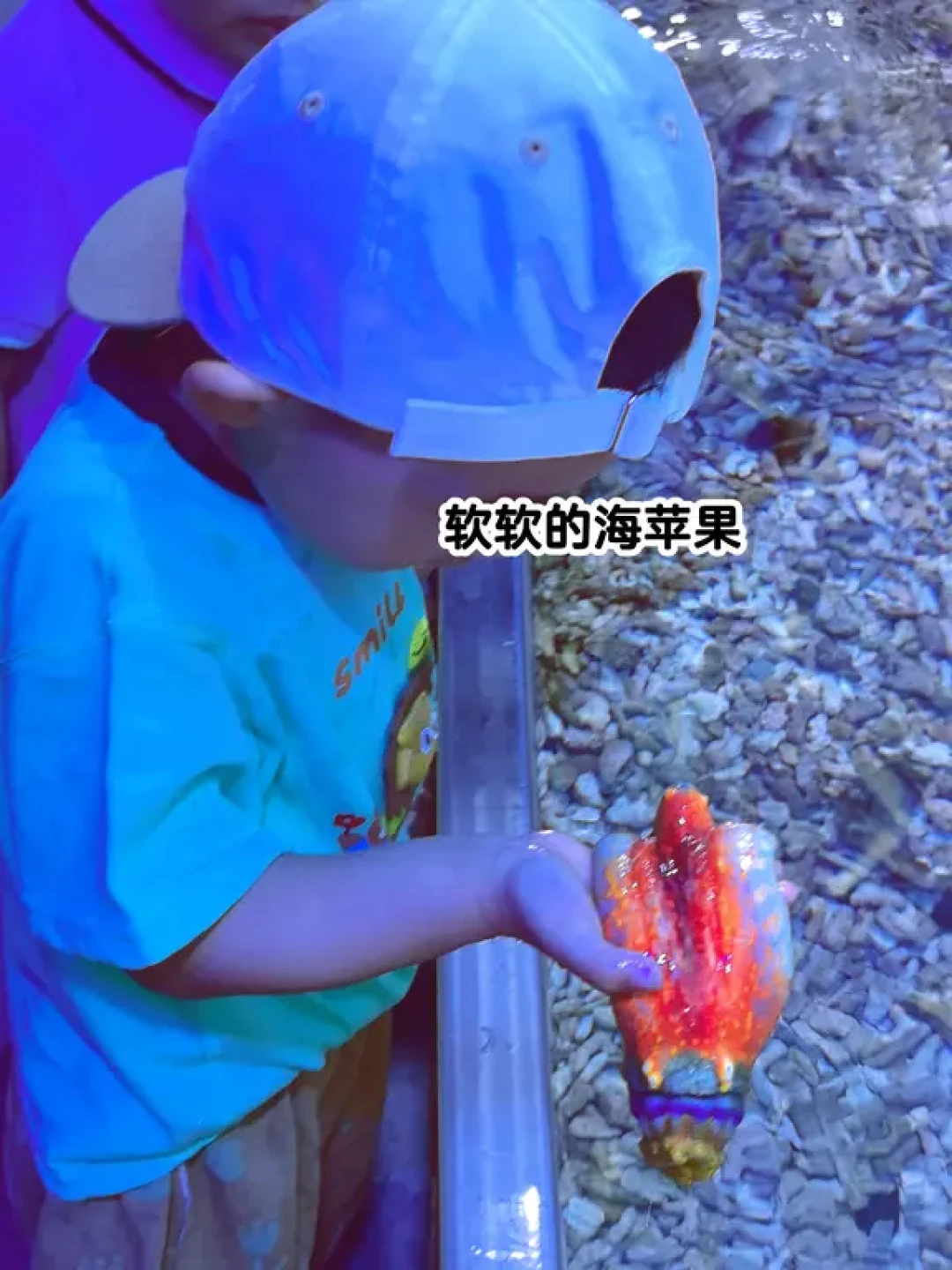 陵水富力海洋世界| 连刷3天 |详细玩法攻略