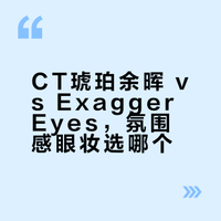 CT琥珀余晖 vs Exagger Eyes，氛围感眼妆选哪个？
