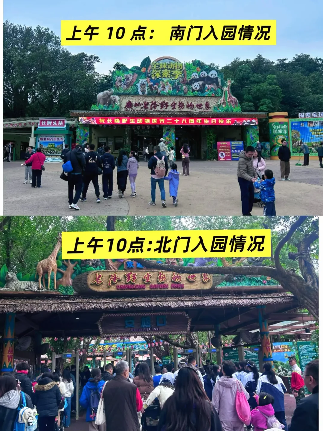 长隆野生动物世界:三套路线搞定南北门选择