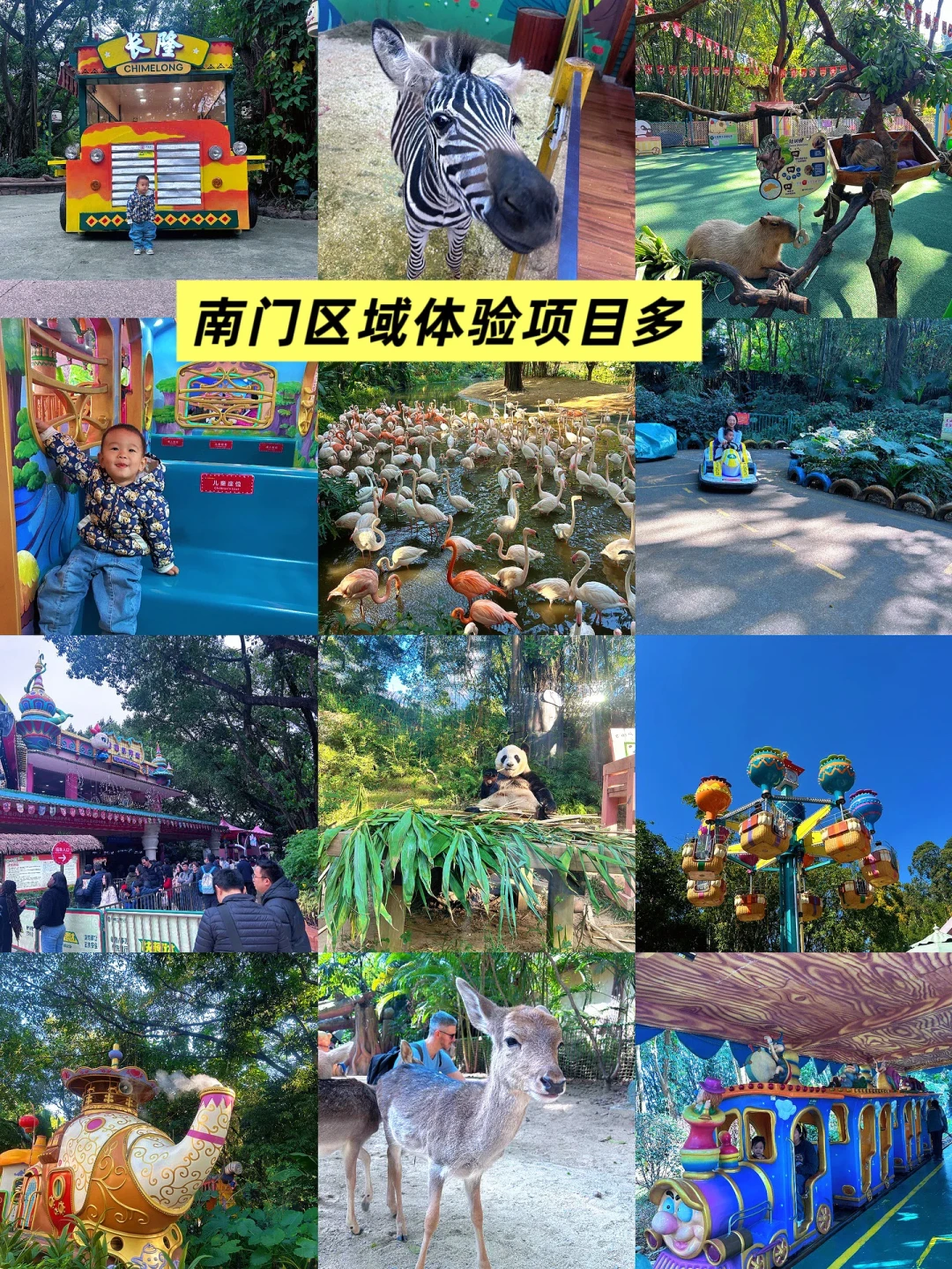 长隆野生动物世界:三套路线搞定南北门选择