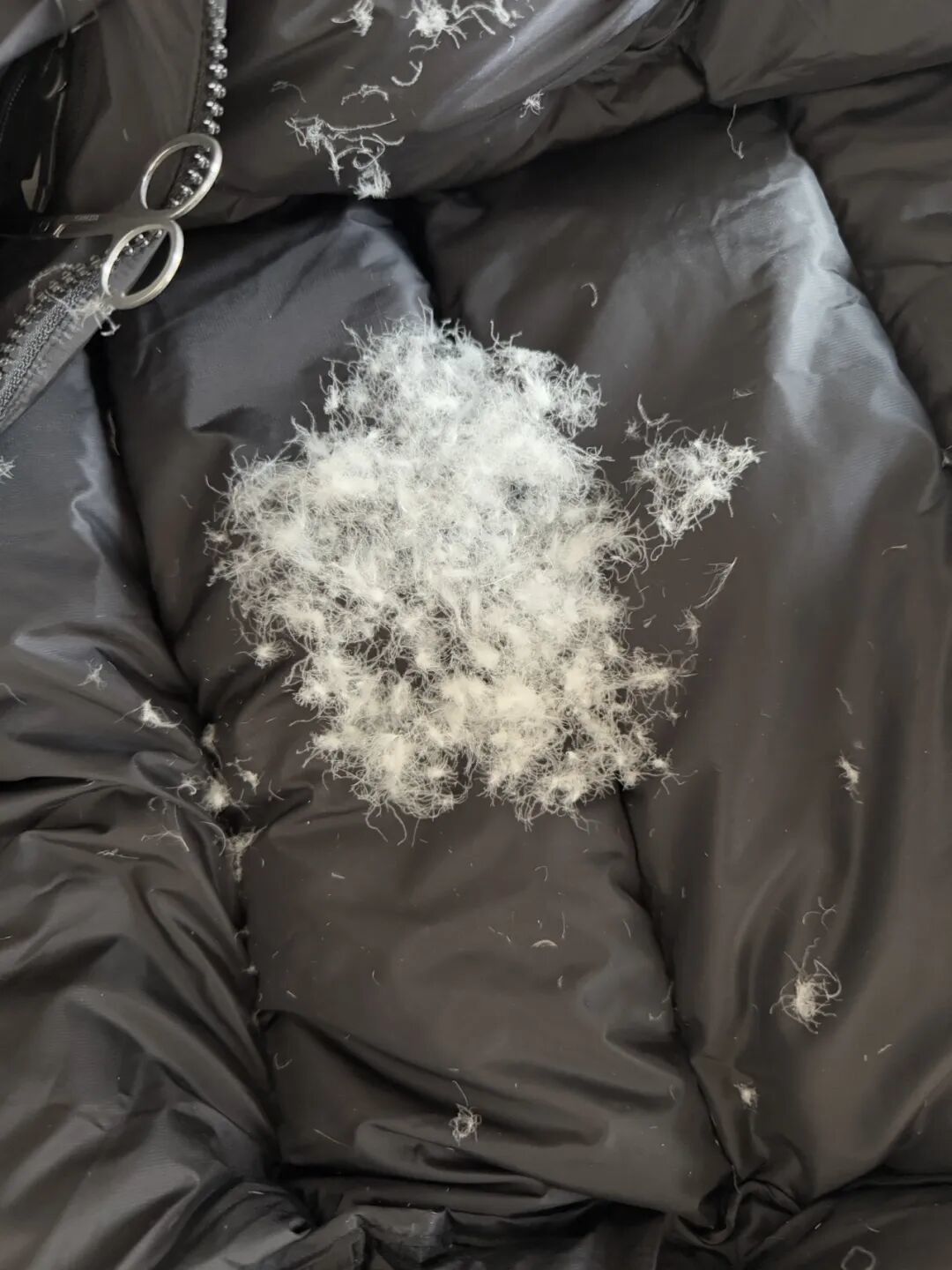 Tho sv 羽绒服真伪对比评测 (这种细节都白瞎用这么好的绒 鹅绒跟着他纯遭罪)
