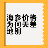 海参的价位等级，看这一篇就够了！