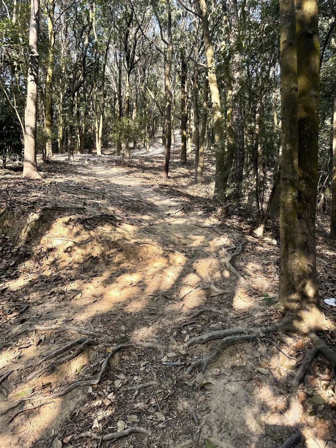 中山｜每周一山｜秀丽湖2小时野趣小环线，爬坡体验拉满，近市区的徒步天花板