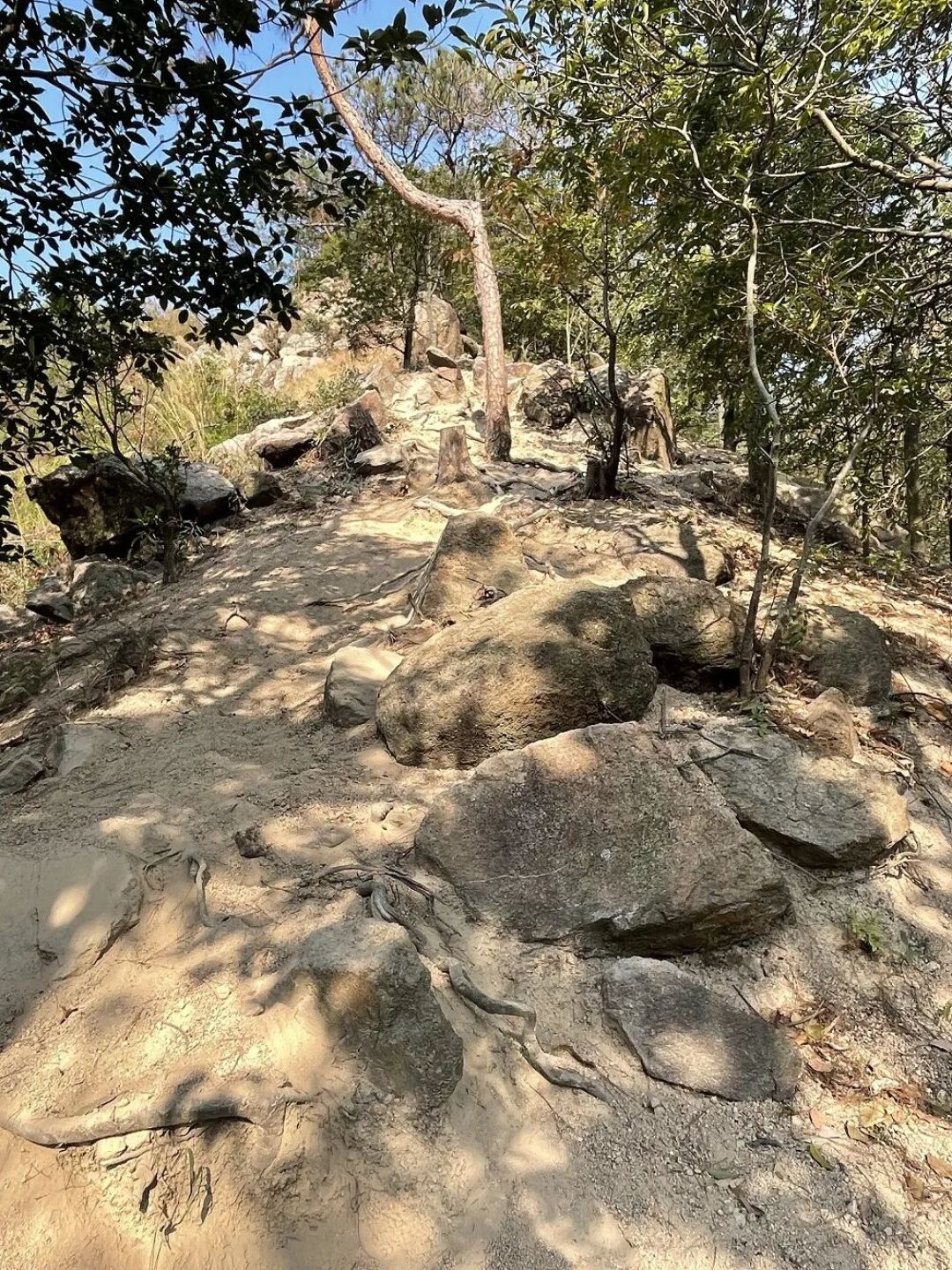中山｜每周一山｜秀丽湖2小时野趣小环线，爬坡体验拉满，近市区的徒步天花板