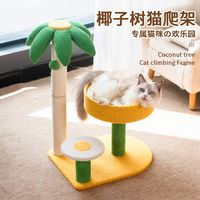 养猫复盘|最不后悔买的4款养猫好物