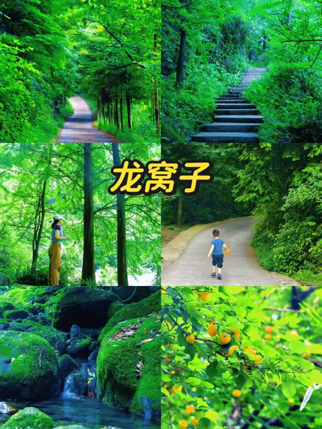 🔥成都周边 6 条亲子徒步路线(均实地走过)