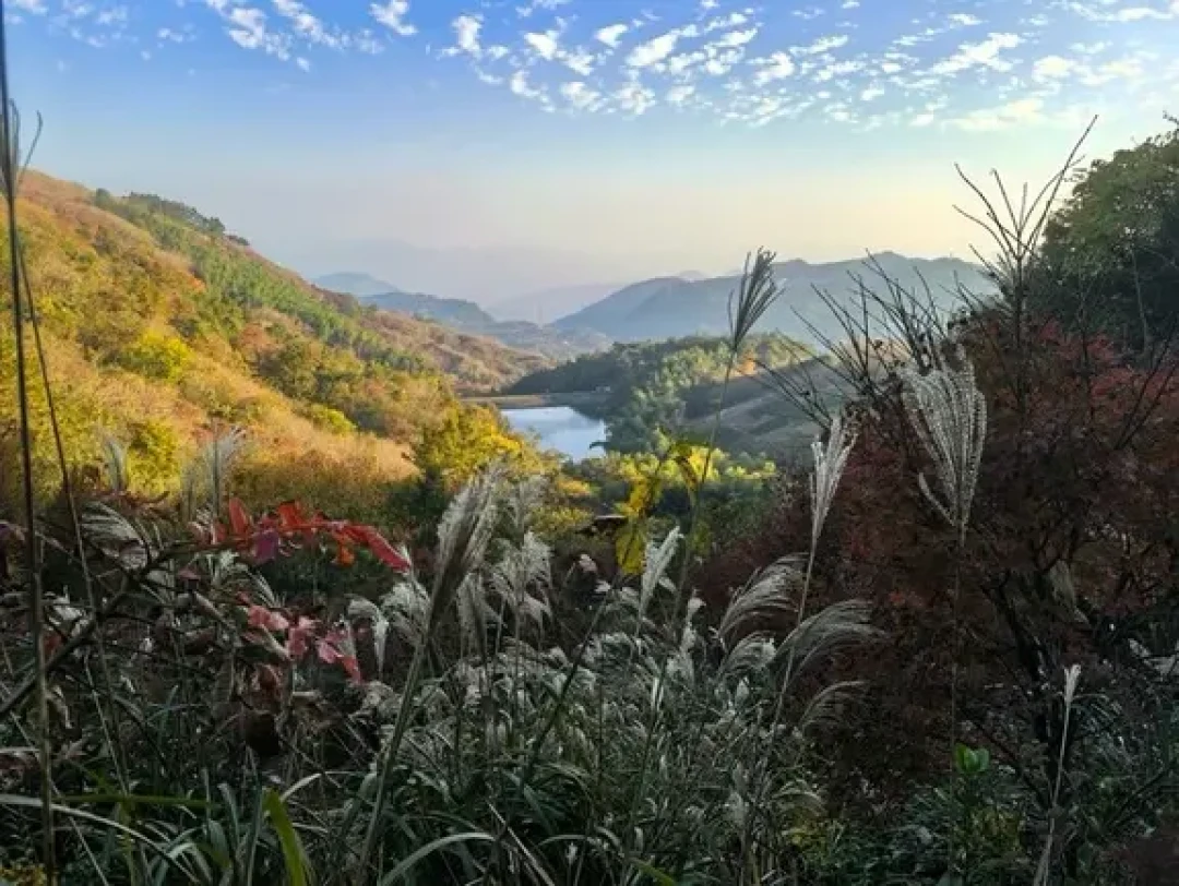 徒步东西岙,四明山赏秋,小众宝藏线路❗️❗️