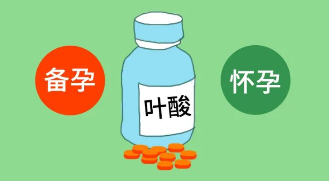 【科普】备孕和早孕期,叶酸怎么补?