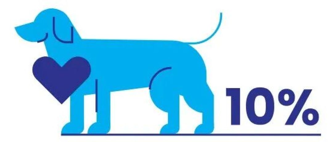 宠物药品 | 犬用药UpCard-CA1(托塞米德)