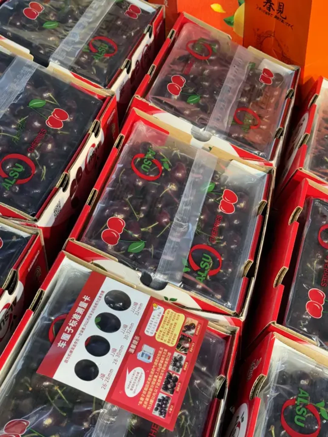 九鼎市场保姆级 避坑攻略