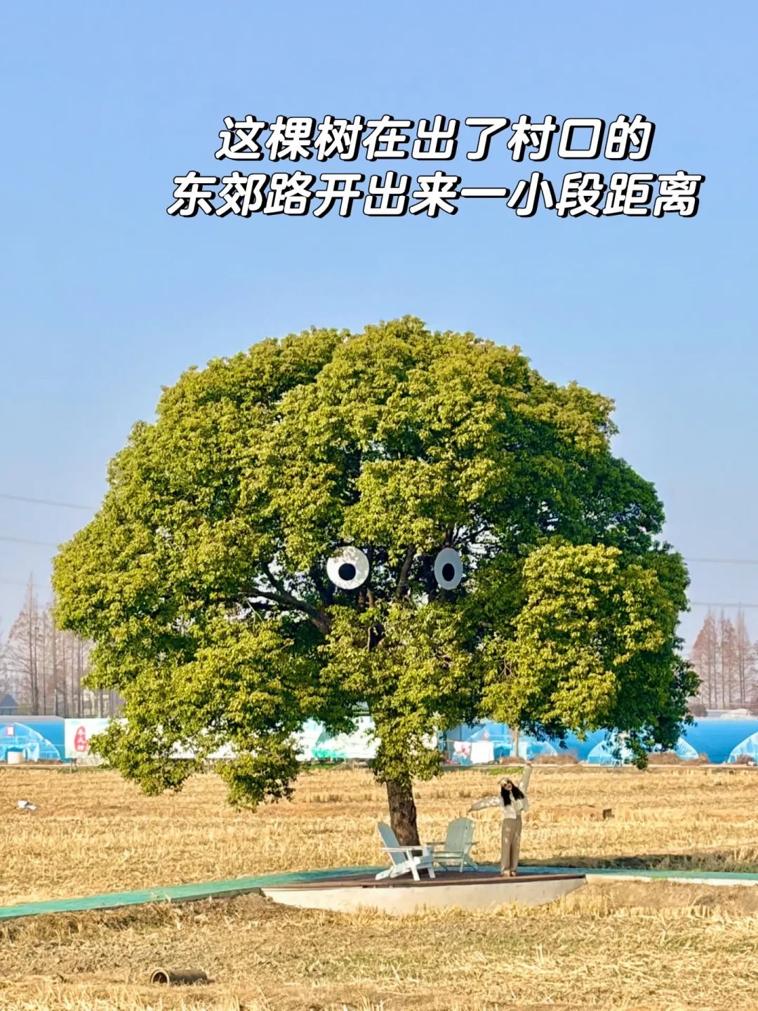 赴一场余华之约,打卡书里书外同款海盐 🌊