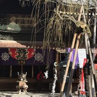 京都三十三观音巡礼第1天