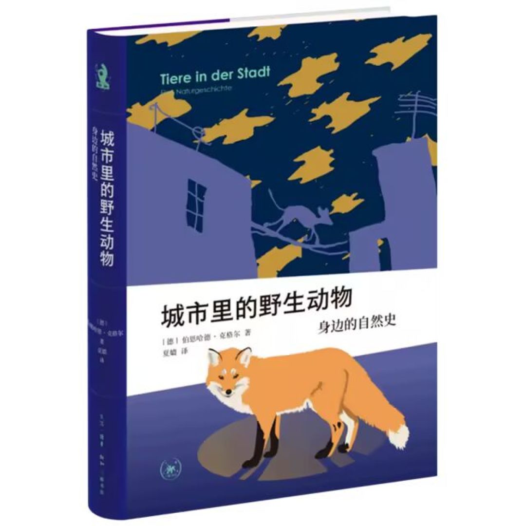 好书抢先看|近期值得一看的好书