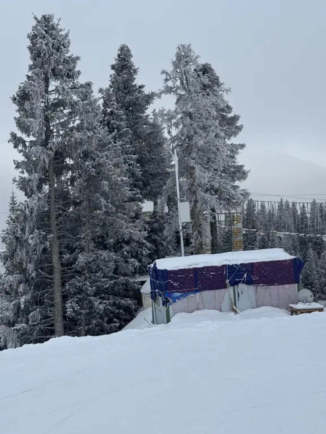 🏂学生党新疆滑雪攻略(一)