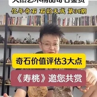 资深的藏家都是如何评估奇石的价值，进行收藏和价值投资的，今天用一条视频给你讲通透。#以石会友 #奇石收藏 #大自然的馈赠 #收藏家
