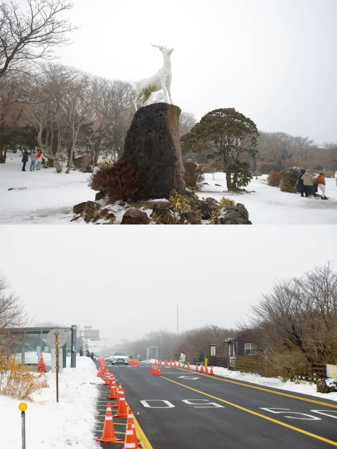 济州岛|2岁小土豆汉拿山玩雪一日游🏔️