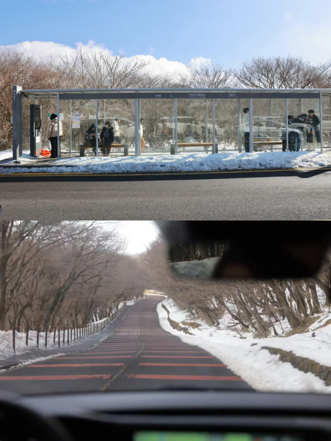 济州岛|2岁小土豆汉拿山玩雪一日游🏔️
