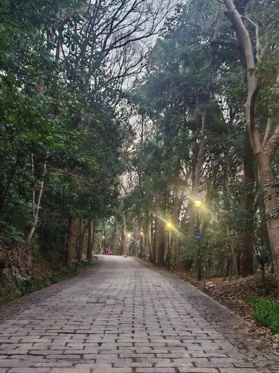 西湖跑山赛越野跑训练