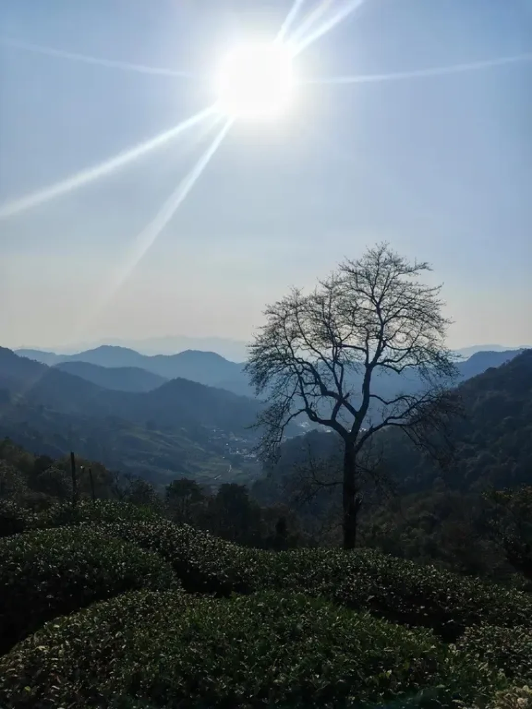 西湖跑山赛越野跑训练
