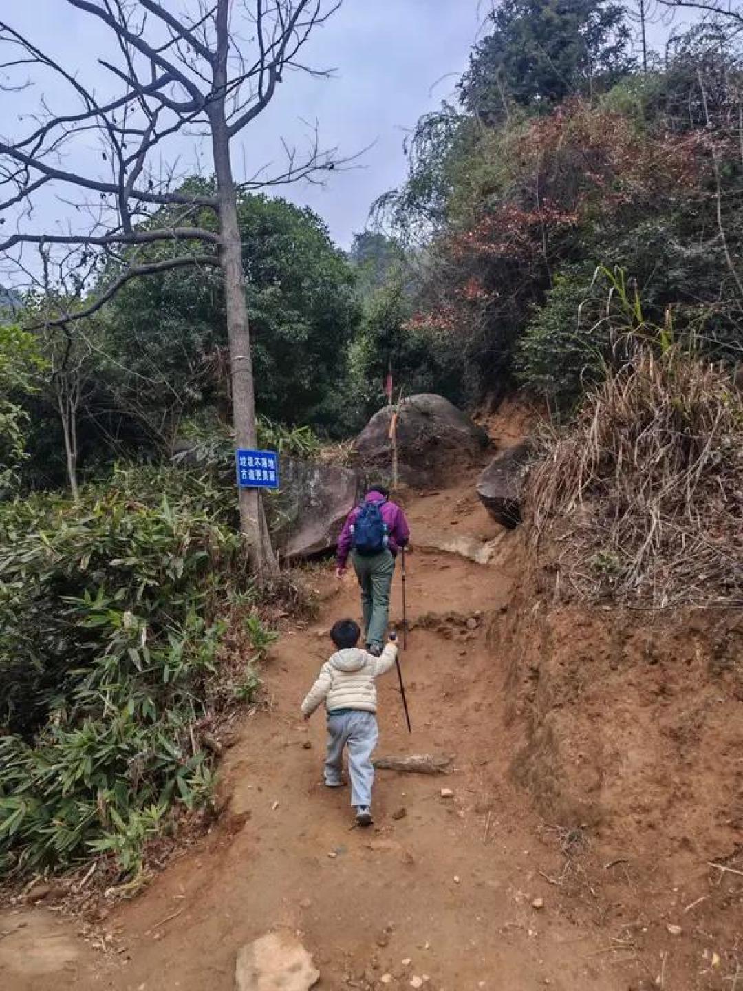 茶岭周家大环线｜南昌梅岭带娃徒步｜9公里