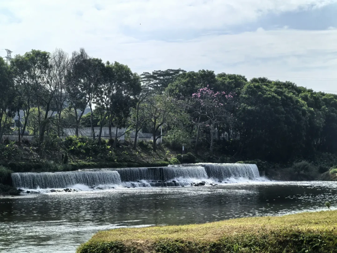 骑行01新开的龙岗河碧道 骑行24公里
