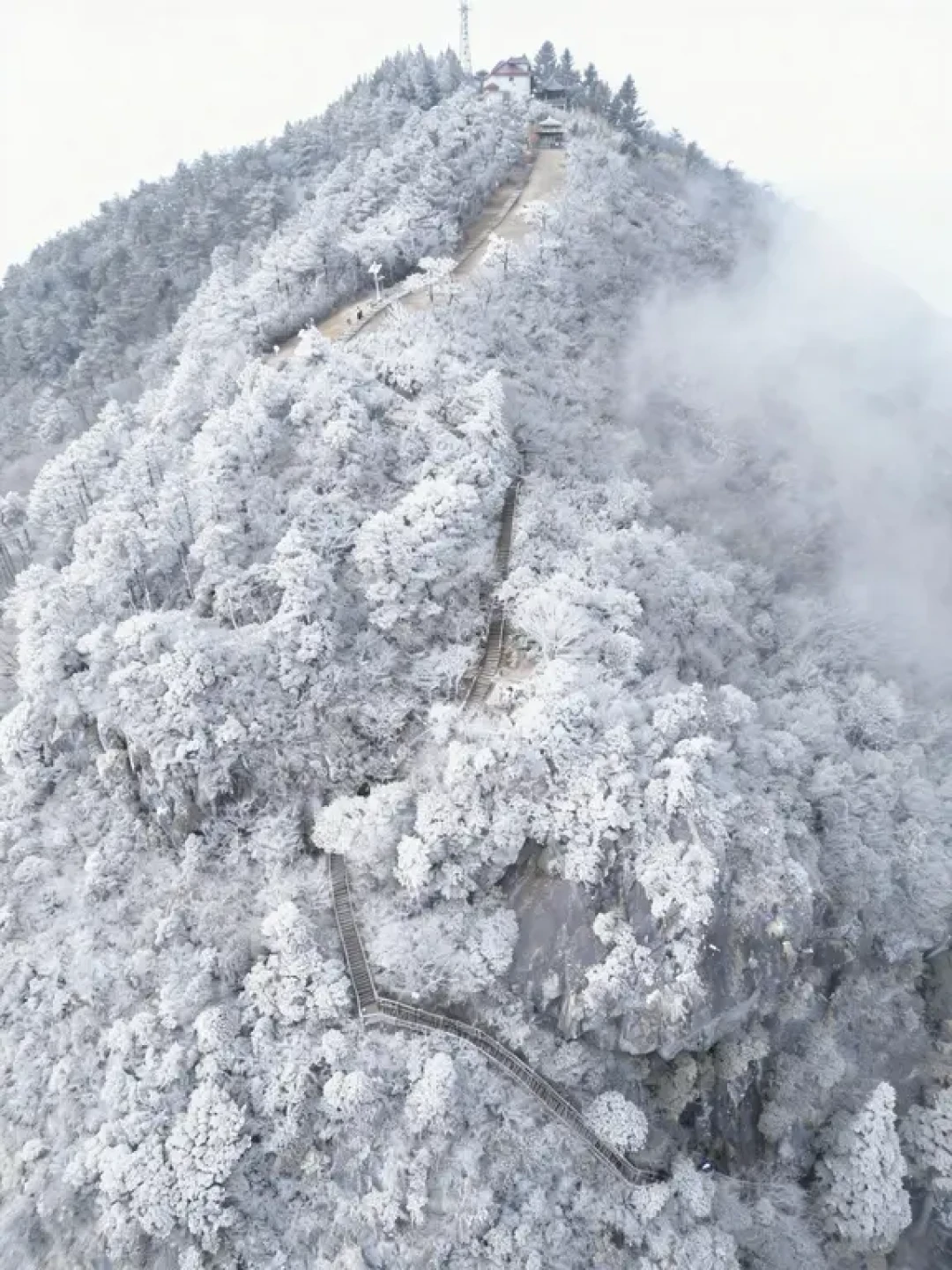 温州周边徒步|40分钟登顶看雾凇❄️太绝了‼️