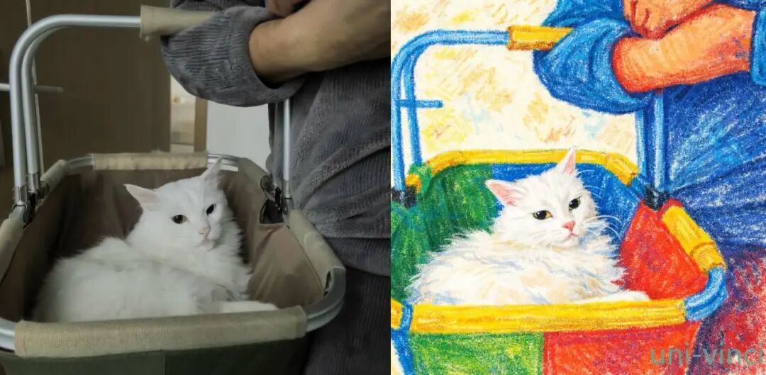 猫的妙用