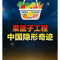 被严重低估的菜篮子工程！运转37年，让14亿人每天吃上好菜 #中国民生智慧 #藏在日常的中国实力#硬核深度计划#全球创造者计划