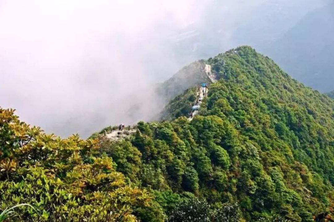 周末去哪玩?深圳这8条徒步线路,风景美爆了!