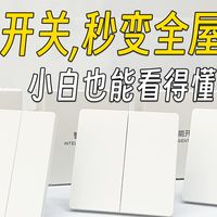 低成本搞定全屋智能！米家单火智能开关小爱同学语音控制 普通用户真实体验分享小米智能灯家居神器