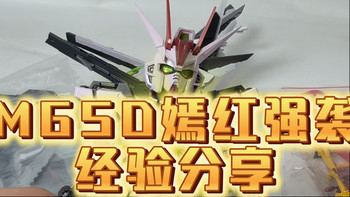 拼装体验分享/精涂版 俺猪二师弟Q萌机甲系列复仇鸟嫣红强袭原创MGSD拼装模型