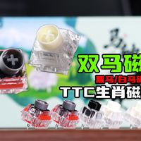 【轴体】轴体内置声音包？磁轴好声音新方向！TTC马年生肖系列轴 黑马/白马 双马磁轴