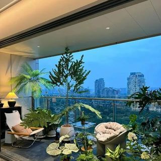 高颜值又强净化？这几种绿植真正兼顾美观与实用