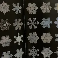 今日荐书 《如何观察一片雪花》