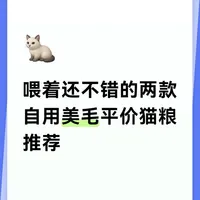 喂着还不错的两款自用美毛平价猫粮