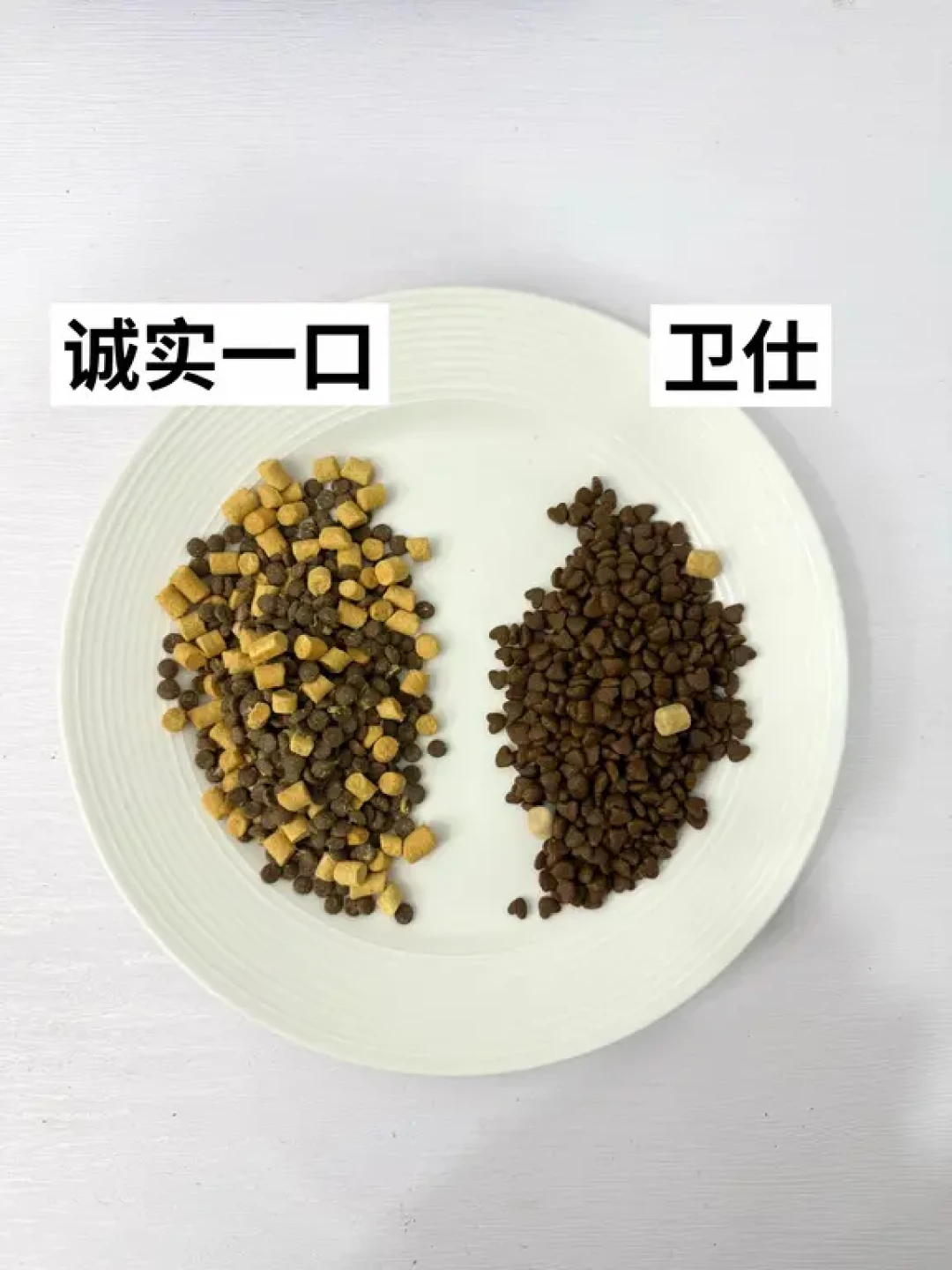 喂着还不错的两款自用美毛平价猫粮