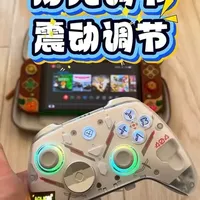switch游戏机 新手柄怎么匹配添加，灯光调节，震动调节#switch#switch游戏机#switch配件#switch手柄#switcholed版@黑子带你游大连