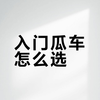 今天刚发现捷安特入门瓜车性价比比闪电还低