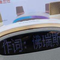 把移动 KTV 揣进背包，雅兰仕 K31蓝牙音箱户外 K 歌太爽了！